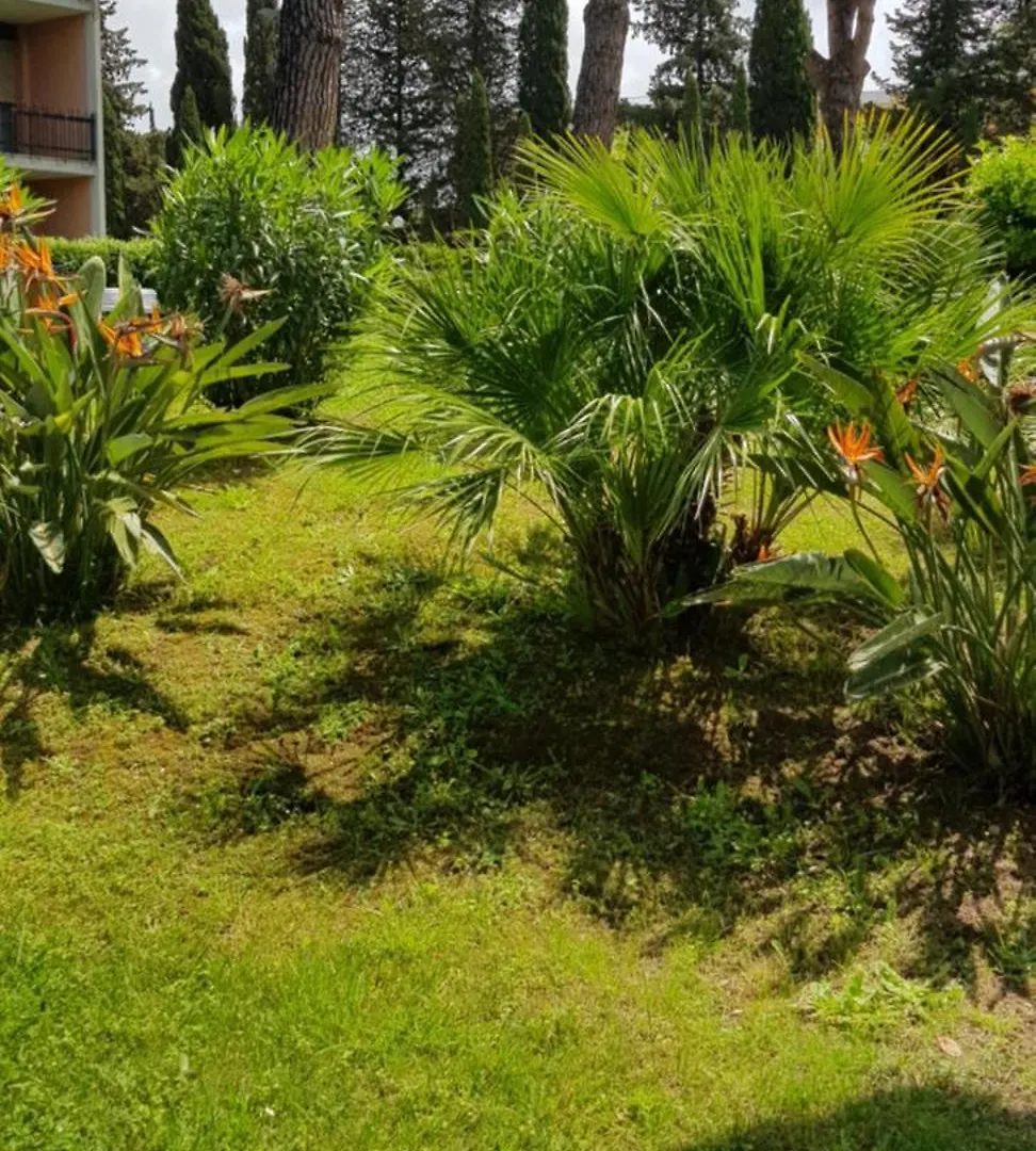 Lägenhet Green Oasis Rom