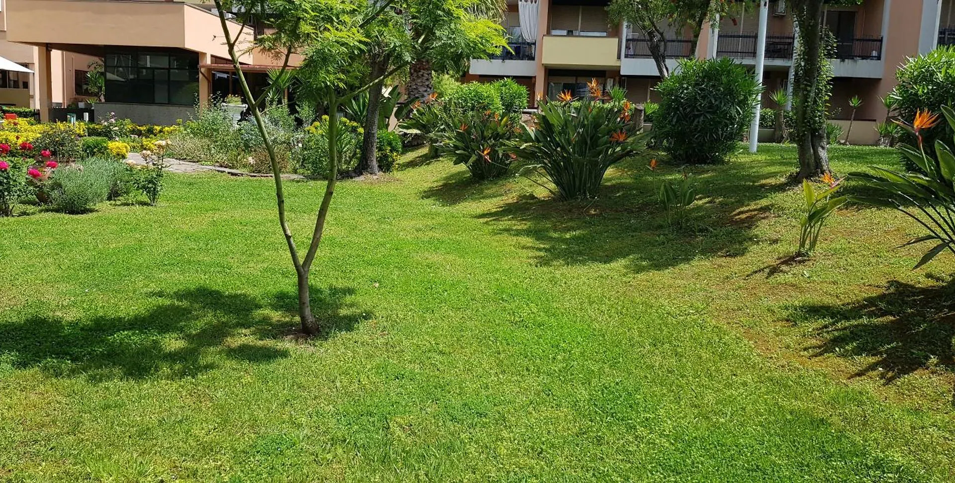 Lägenhet Green Oasis Rom Italien