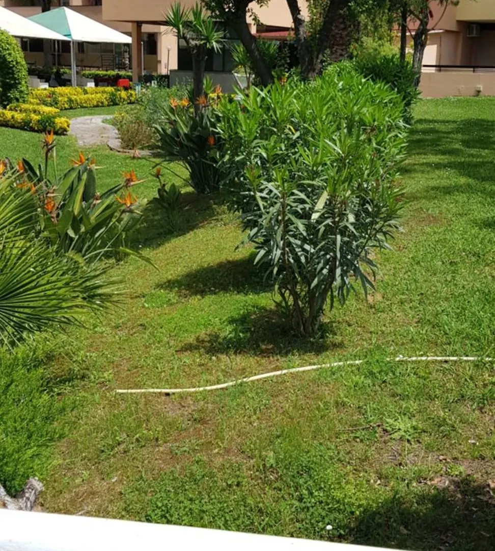 Lägenhet Green Oasis Rom Italien